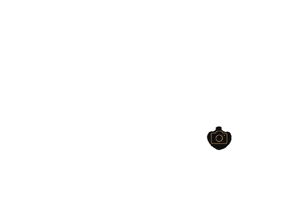 eeae2960 655a 4c4a bc48 cc0ceeb43679 removebg preview (9)